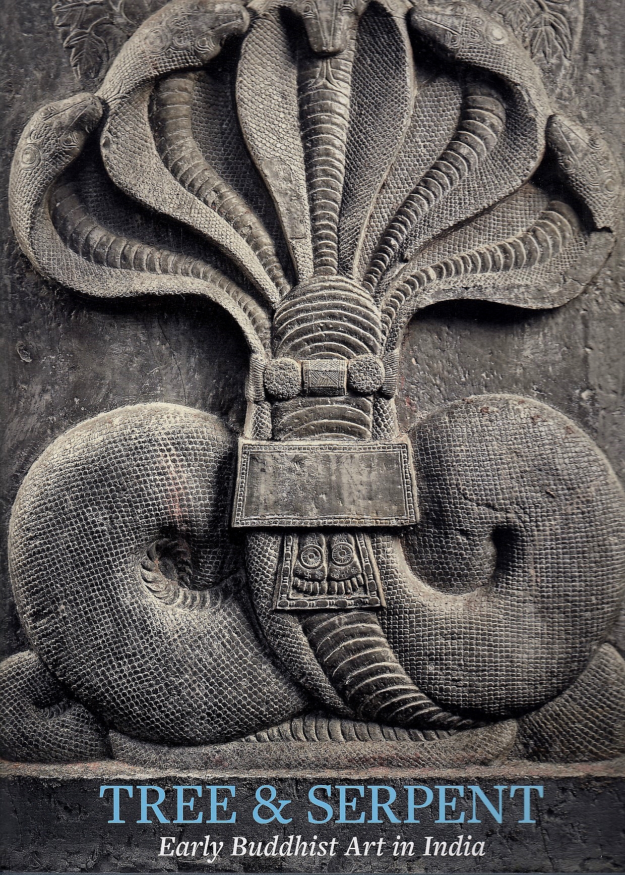 Tree & Serpent : Early Buddhist art in India